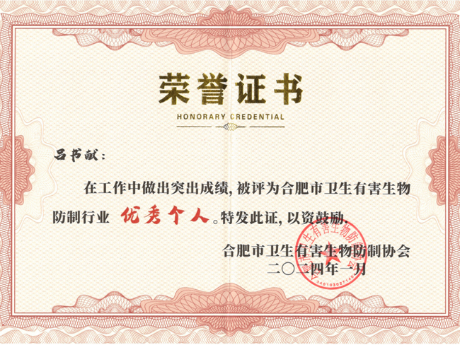 优秀个人