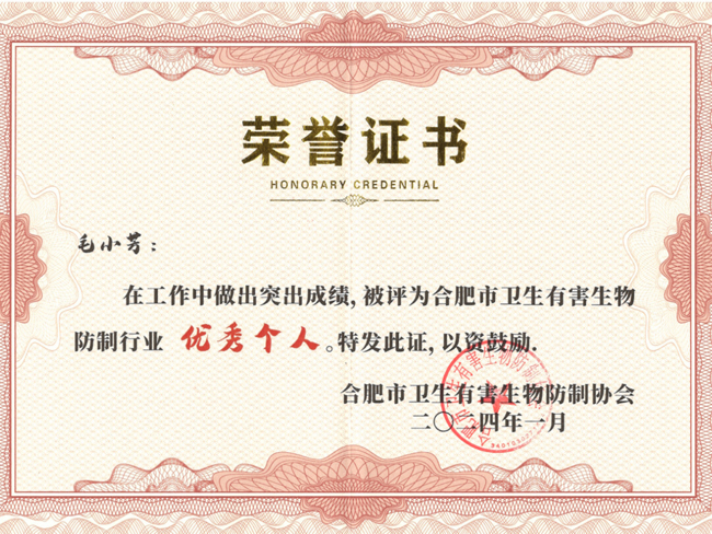 优秀个人