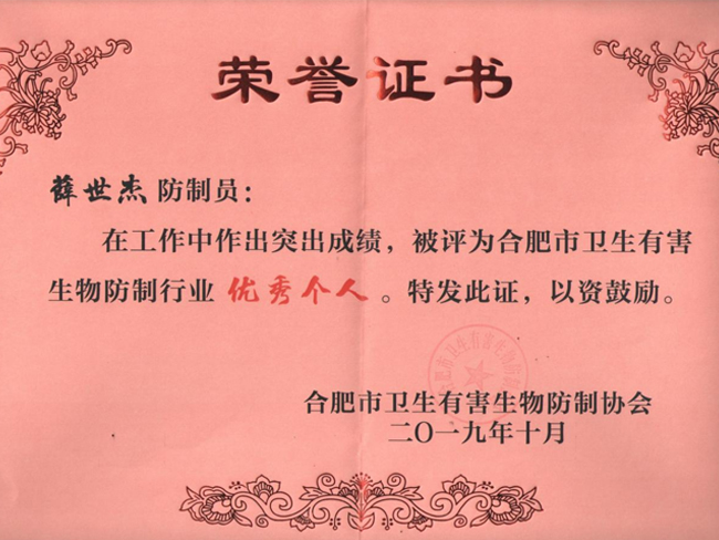 优秀个人